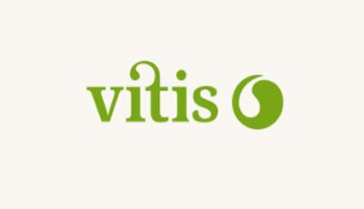 vitis-vital