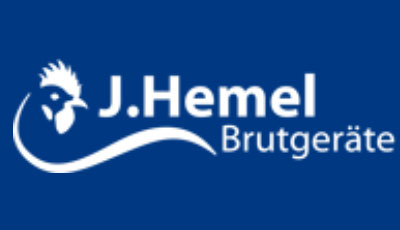 heel